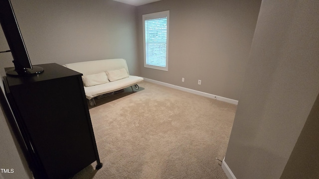 7308 River Glen Ct, Raleigh, NC 27614 - photo 31