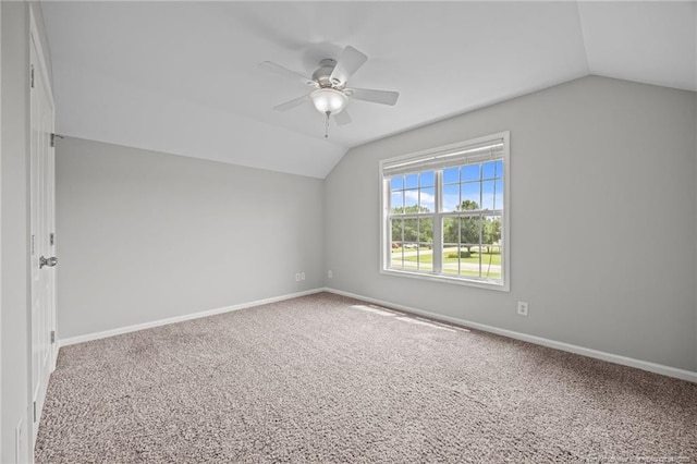 10 Chinkapin Oak Cir, Bunnlevel, NC 28323 - photo 25