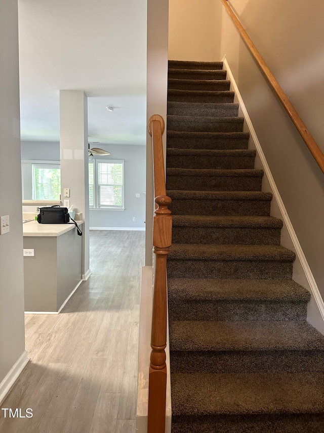 505 Elm Ave, Wake Forest, NC 27587 - photo 11