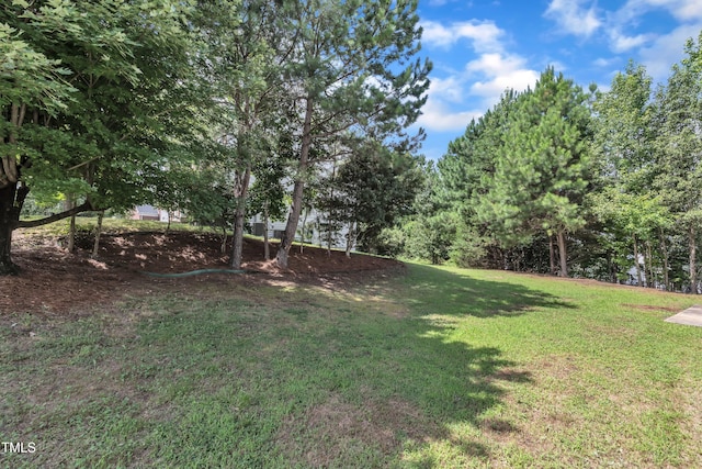 501 Sherwood Forest Pl, Cary, NC 27519 - photo 47