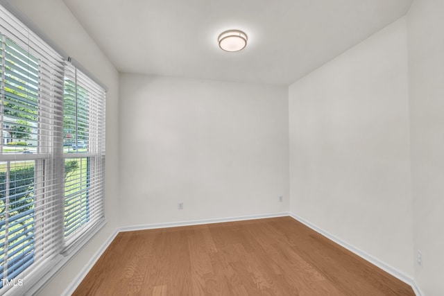 501 Sherwood Forest Pl, Cary, NC 27519 - photo 6