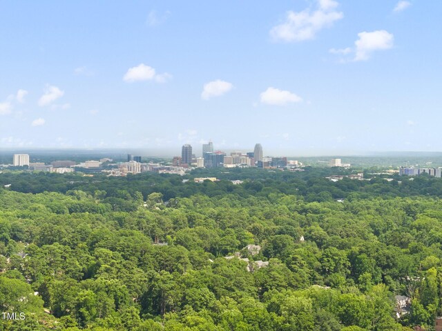 1312 Dixie Trl, Raleigh, NC 27607 - photo 44