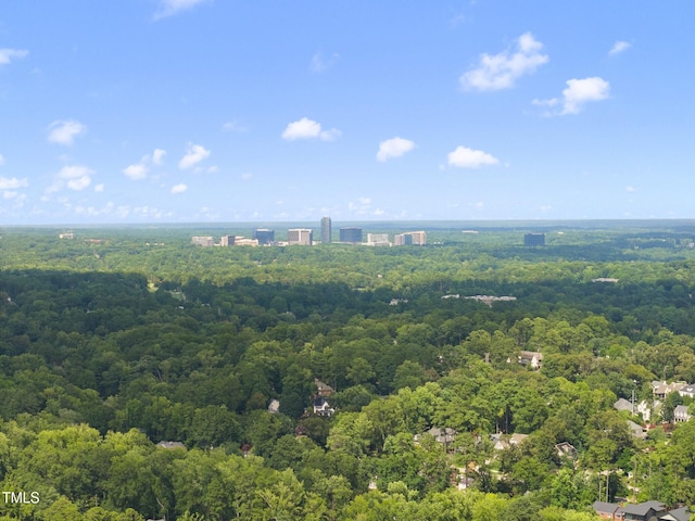 1312 Dixie Trl, Raleigh, NC 27607 - photo 50