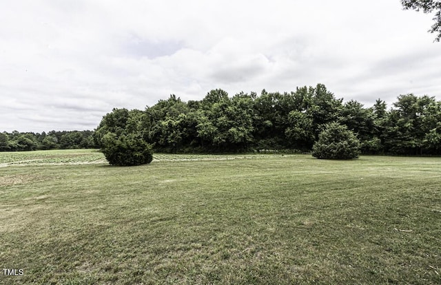 3081 S Browntown Rd, Rocky Mount, NC 27804 - photo 14