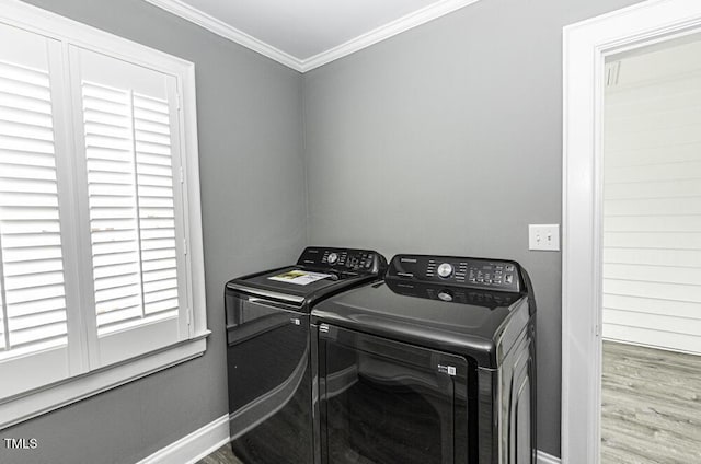 3081 S Browntown Rd, Rocky Mount, NC 27804 - photo 51