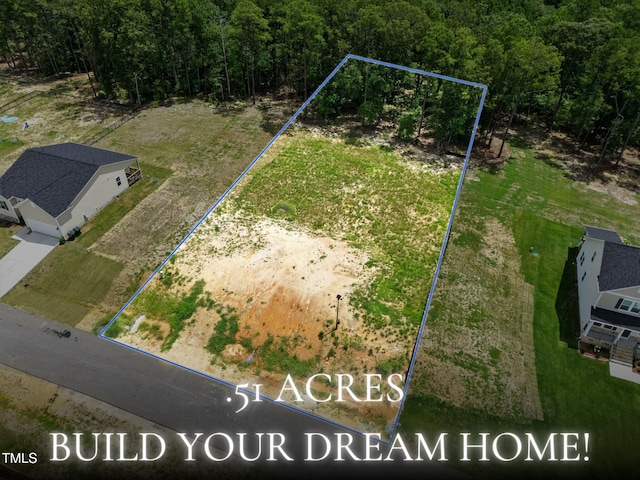 525 Barnes Landing Dr, Four Oaks, NC 27524 - photo 1