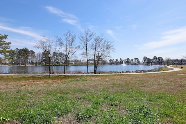 163 Periwinkle Pl, Clayton, NC 27527 - photo 30