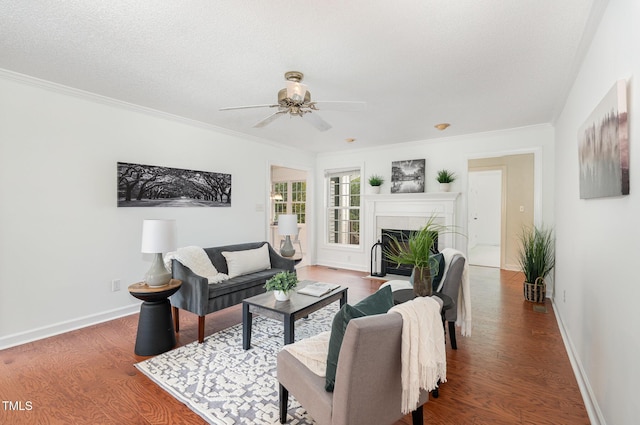 500 Tippett Rd, Zebulon, NC 27597 - photo 4
