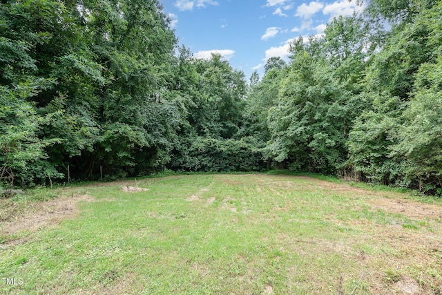 500 Tippett Rd, Zebulon, NC 27597 - photo 30