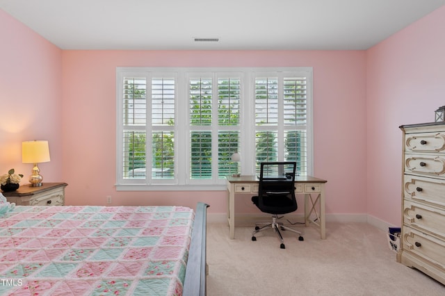 502 Aronia Dr, Hillsborough, NC 27278 - photo 13
