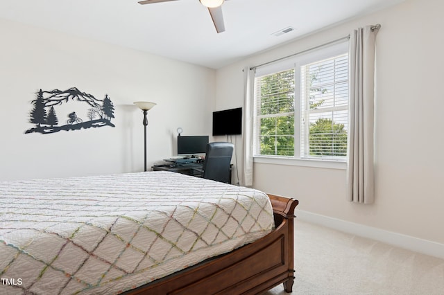 502 Aronia Dr, Hillsborough, NC 27278 - photo 23