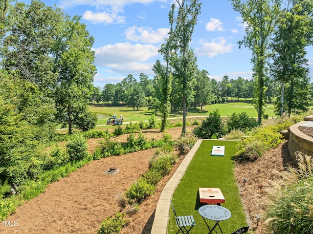 817 Rambling Oaks Ln, Holly Springs, NC 27540 - photo 62