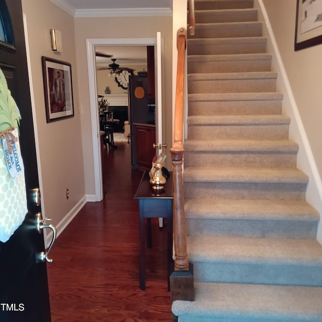 2120 Kilburn Rd, Raleigh, NC 27604 - photo 18