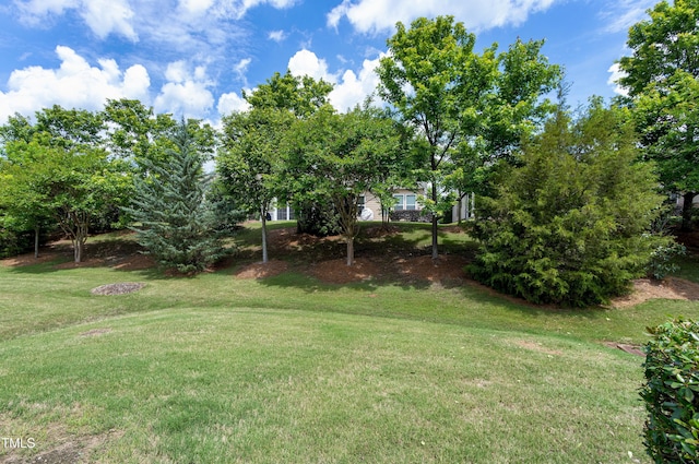 118 Rosedale Creek Dr, Durham, NC 27703 - photo 27