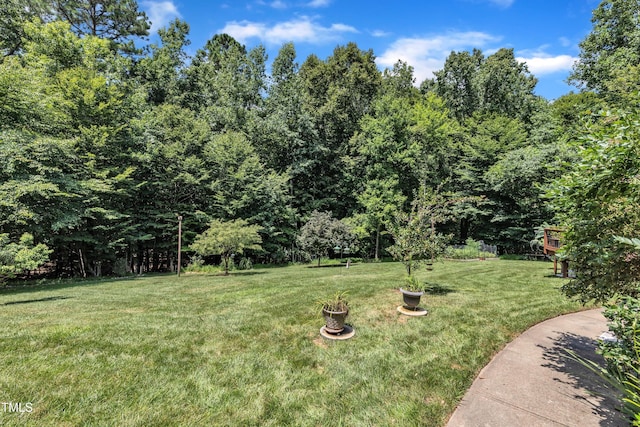 3581 Boulder Ct, Wake Forest, NC 27587 - photo 66