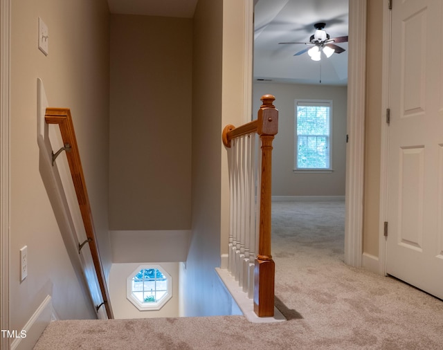 5944 Kohler Ln, Raleigh, NC 27616 - photo 21