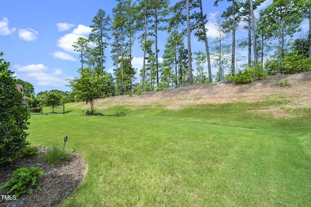 1013 Atticus Way, Durham, NC 27703 - photo 25