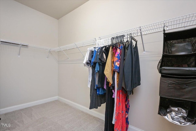 610 Silk Tree, Fuquay Varina, NC 27526 - photo 21