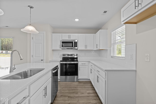 1047 Peony Ln, Youngsville, NC 27596 - photo 3