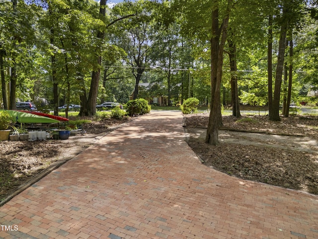 5008 Tallwood Dr, Raleigh, NC 27613 - photo 44