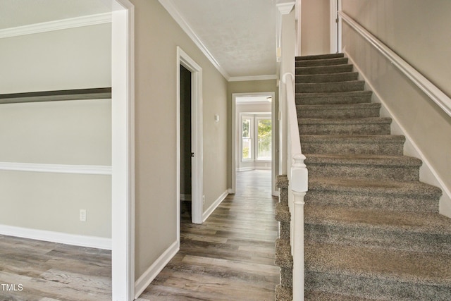 7713 Charring Cross Ln, Fayetteville, NC 28314 - photo 6
