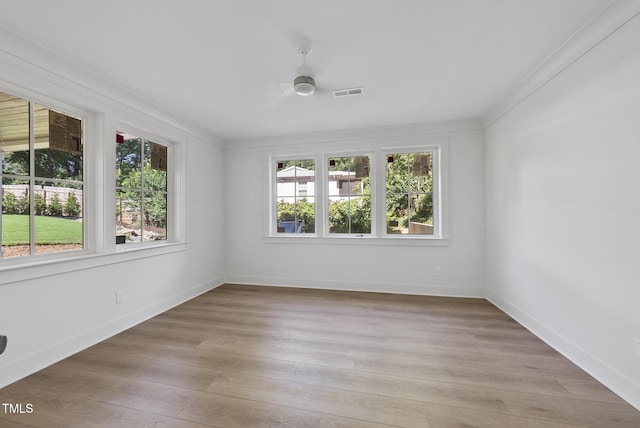 1000 Canterbury Rd, Raleigh, NC 27607 - photo 28
