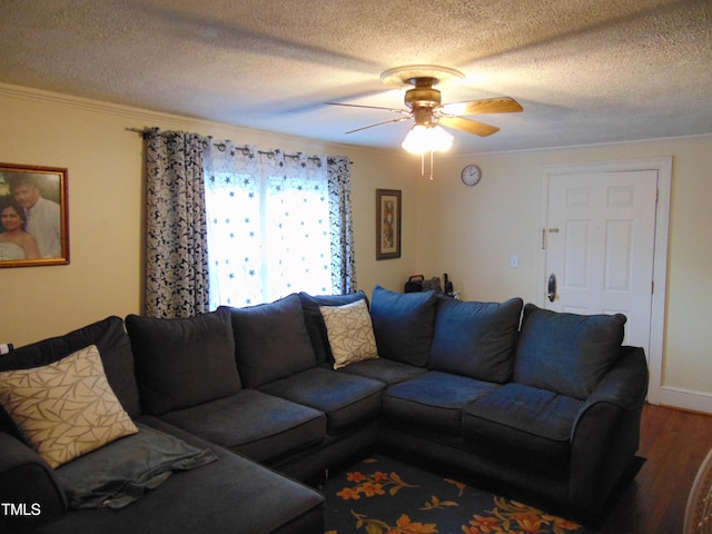 104 E Edgecombe St, Macclesfield, NC 27852 - photo 8