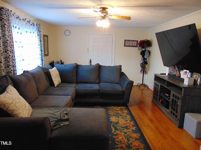 104 E Edgecombe St, Macclesfield, NC 27852 - photo 3