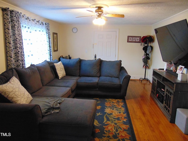 104 E Edgecombe St, Macclesfield, NC 27852 - photo 9