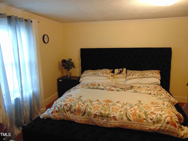 104 E Edgecombe St, Macclesfield, NC 27852 - photo 16