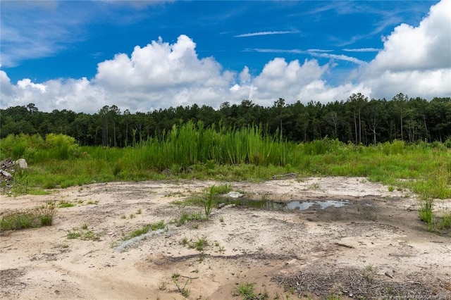 Meadow Rd, Lumberton, NC 28358 - photo 1