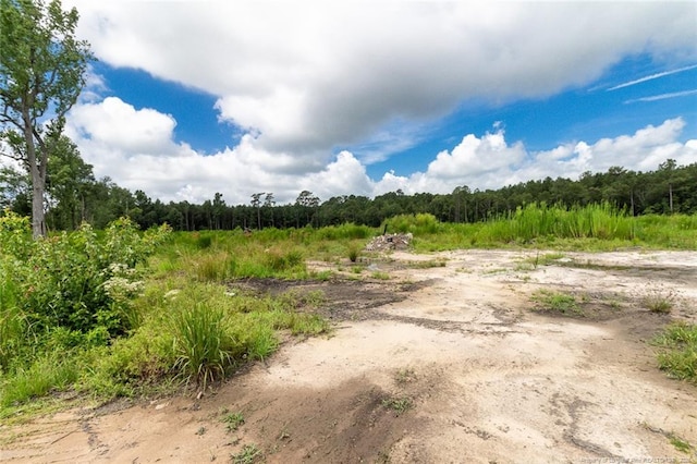 Meadow Rd, Lumberton, NC 28358 - photo 2