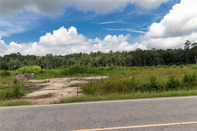 Meadow Rd, Lumberton, NC 28358 - photo 3
