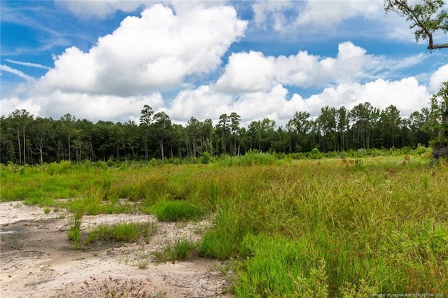 Meadow Rd, Lumberton, NC 28358 - photo 4
