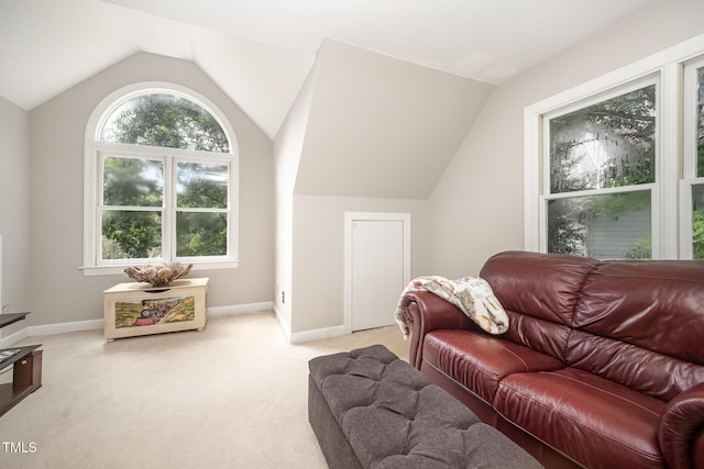102 Highstream Pl, Chapel Hill, NC 27516 - photo 33