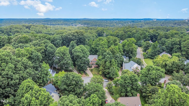 102 Highstream Pl, Chapel Hill, NC 27516 - photo 48