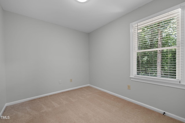 3341 Ventura Cir, Wake Forest, NC 27587 - photo 29