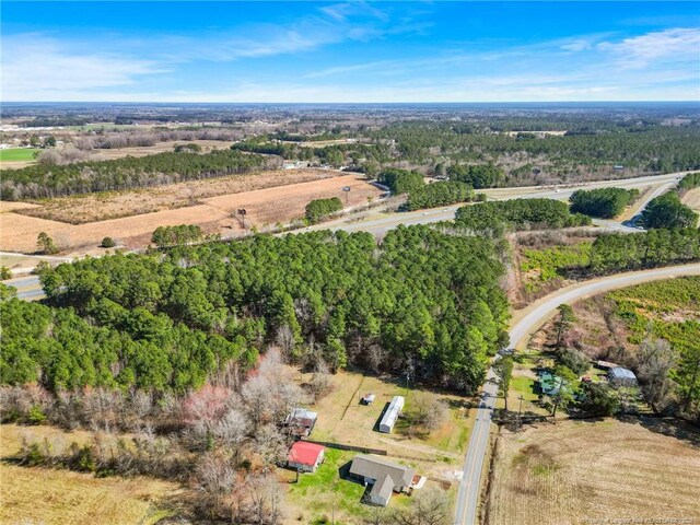 High School Rd, Teachey, NC 28464 - photo 3