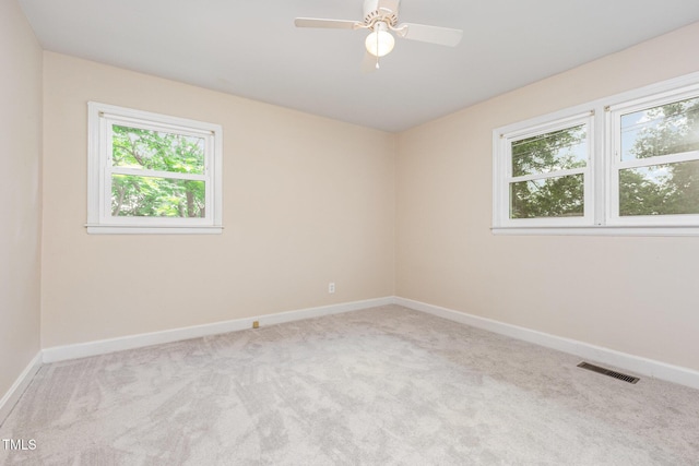 4309 Newby Dr, Durham, NC 27704 - photo 19