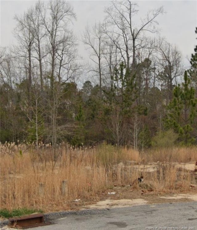 90 Pedley Pl, Cameron, NC 28326 - photo 2