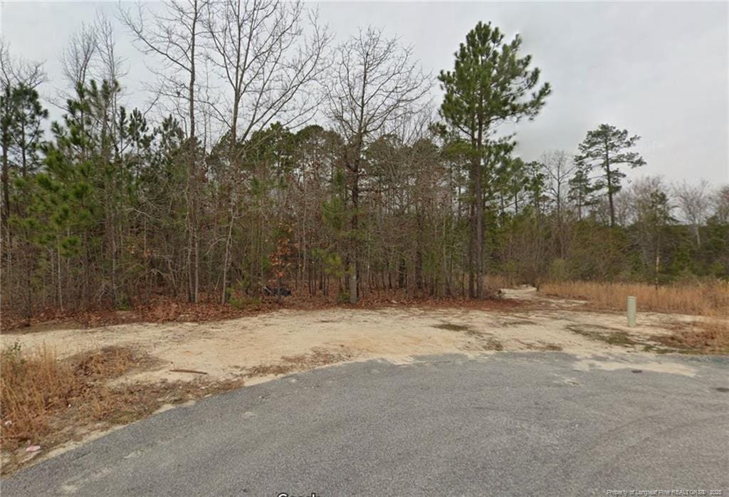 85 Pedley Pl, Cameron, NC 28326 - photo 1
