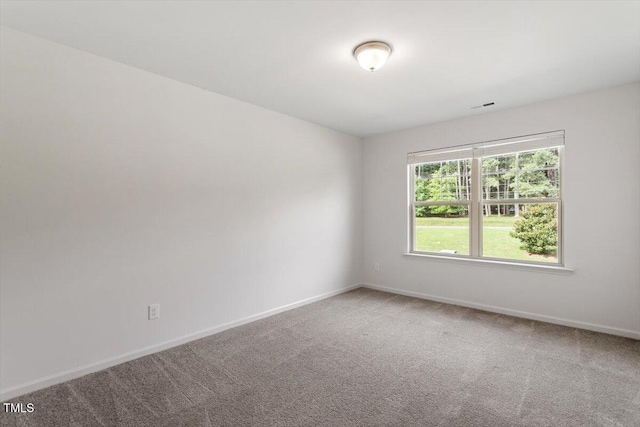 3304 Tracer Dr, Graham, NC 27253 - photo 19