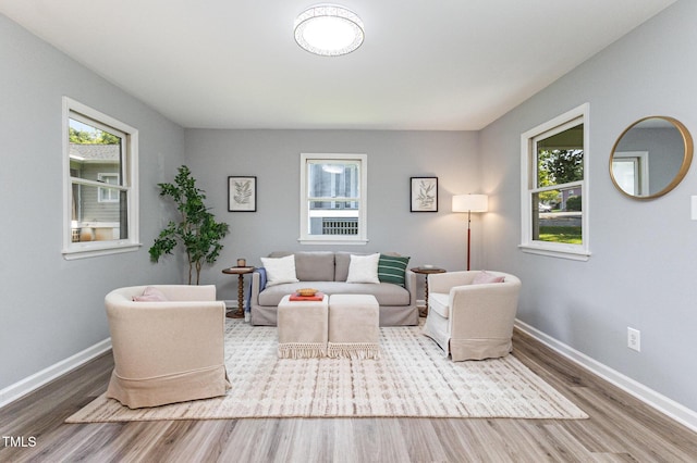 101 Eugene St Apt F, Carrboro, NC 27510 - photo 4
