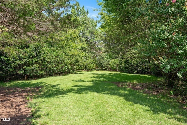 311 Center Heights Ct, Apex, NC 27502 - photo 27