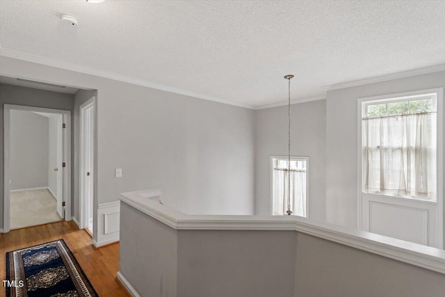 117 Hidden Rock Ct, Cary, NC 27513 - photo 19