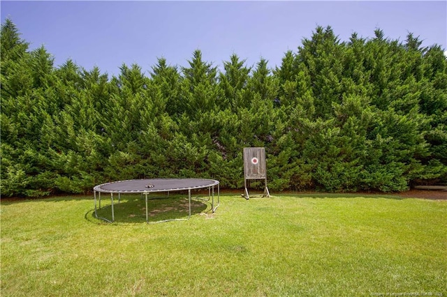 193 Rosslyn Chapel Ln, Cameron, NC 28326 - photo 34