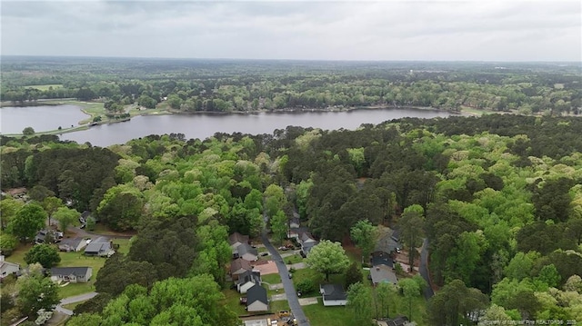 1068 S Windrace Trl, Sanford, NC 27332 - photo 6