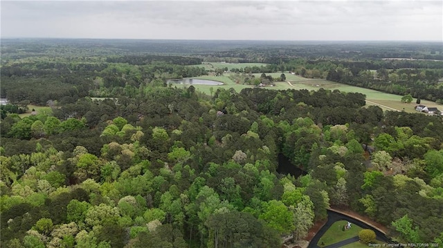 1068 S Windrace Trl, Sanford, NC 27332 - photo 7