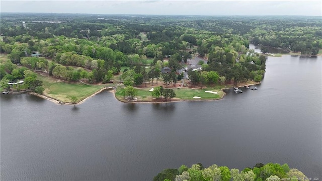 1068 S Windrace Trl, Sanford, NC 27332 - photo 8