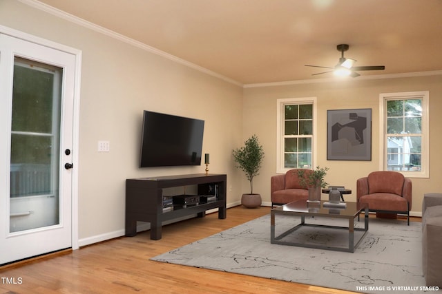 529 Carter Rd, Graham, NC 27253 - photo 6